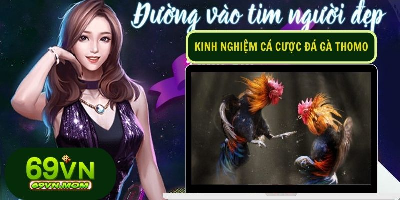 Người chơi cần nắm vững một số mẹo khi xem live đá gà Thomo